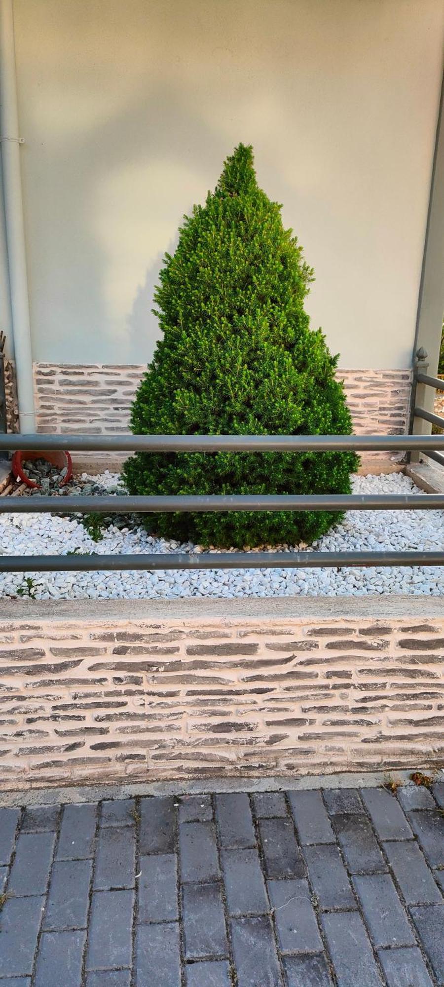 Ferienwohnung Evropishouse Kozani Exterior foto